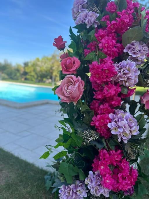 Villa Vittoria Events Corato Eksteriør billede